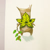 Koroks Print